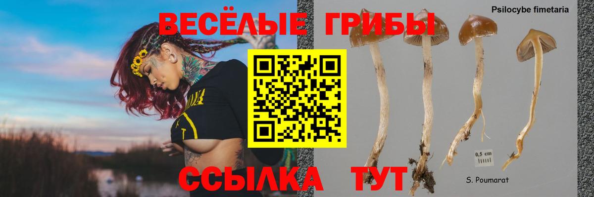 Псилоцибиновые грибы Psilocybine cubensis Орёл