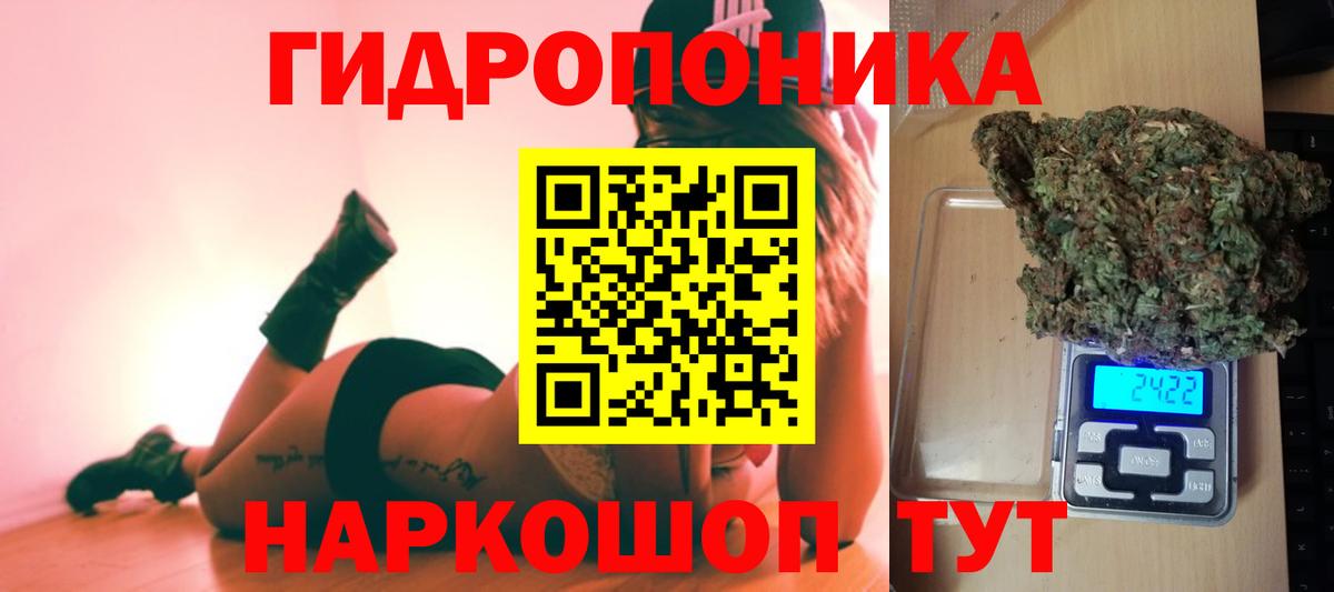 МАРИХУАНА план  Канабис гибрид  Орёл  Вход с VPN  Канабис семена  Каннабис AK-47 